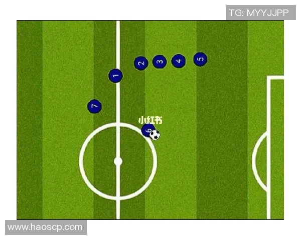 飞盘新手必看：从基础到战术的全面入门指南与实战技巧分享