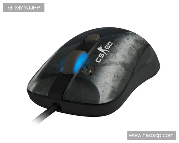 CSGO游戏鼠标选购指南推荐适合不同玩家需求的优质装备 CSGO游戏鼠标选购指南推荐适合不同玩家需求的优质装备