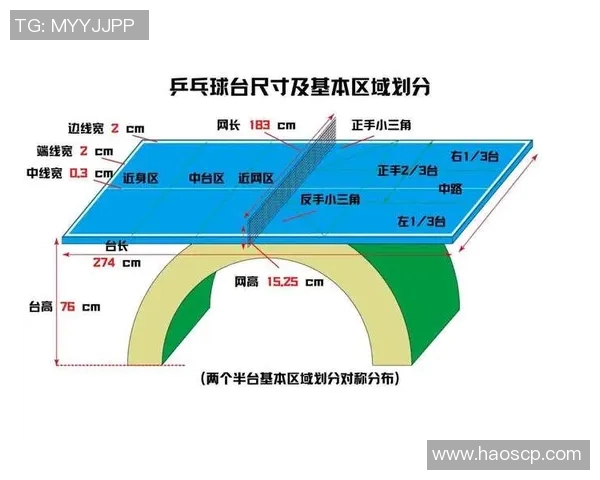 北京乒乓球队在锦标赛中的战术分析与表现评估探讨