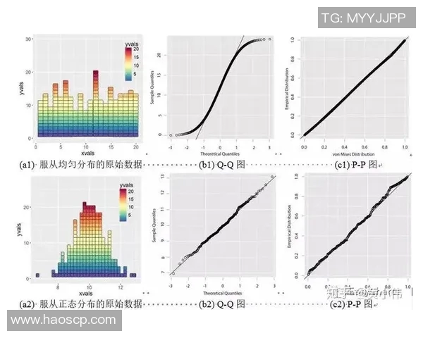 深入探讨杭州篮球队的力量表现与数据分析背后的秘密