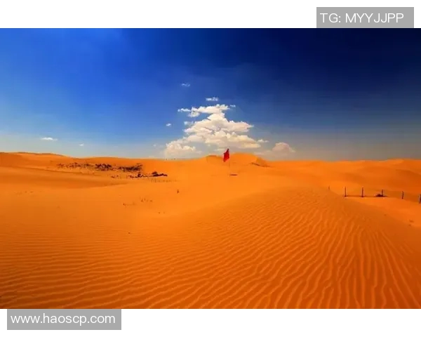 飞盘追梦：李静的激情与坚持之路探索