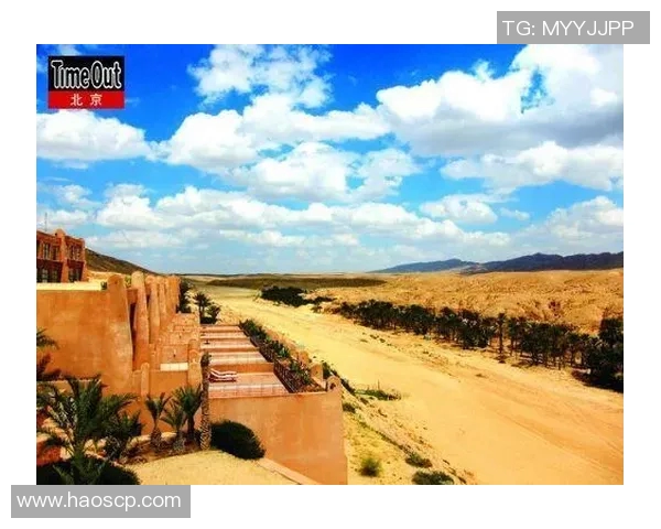 中国与突尼斯激战全场精彩集锦回顾与分析 中国与突尼斯激战全场精彩集锦回顾与分析