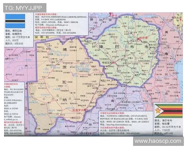 科特迪瓦与加蓬激战正酣赛果揭晓精彩瞬间回顾