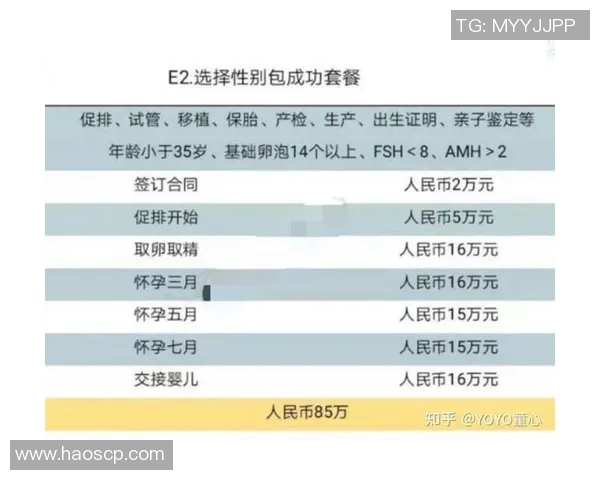 代怀博：探索现代代孕服务的法律与伦理挑战与未来发展趋势