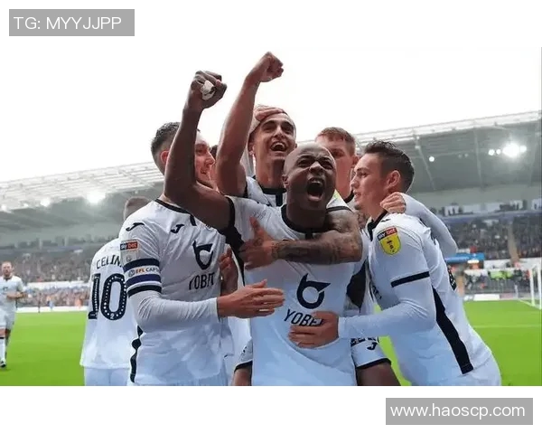 西布罗姆与布伦特激战正酣比分胶着精彩瞬间回顾